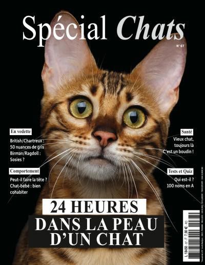Spécial Chats